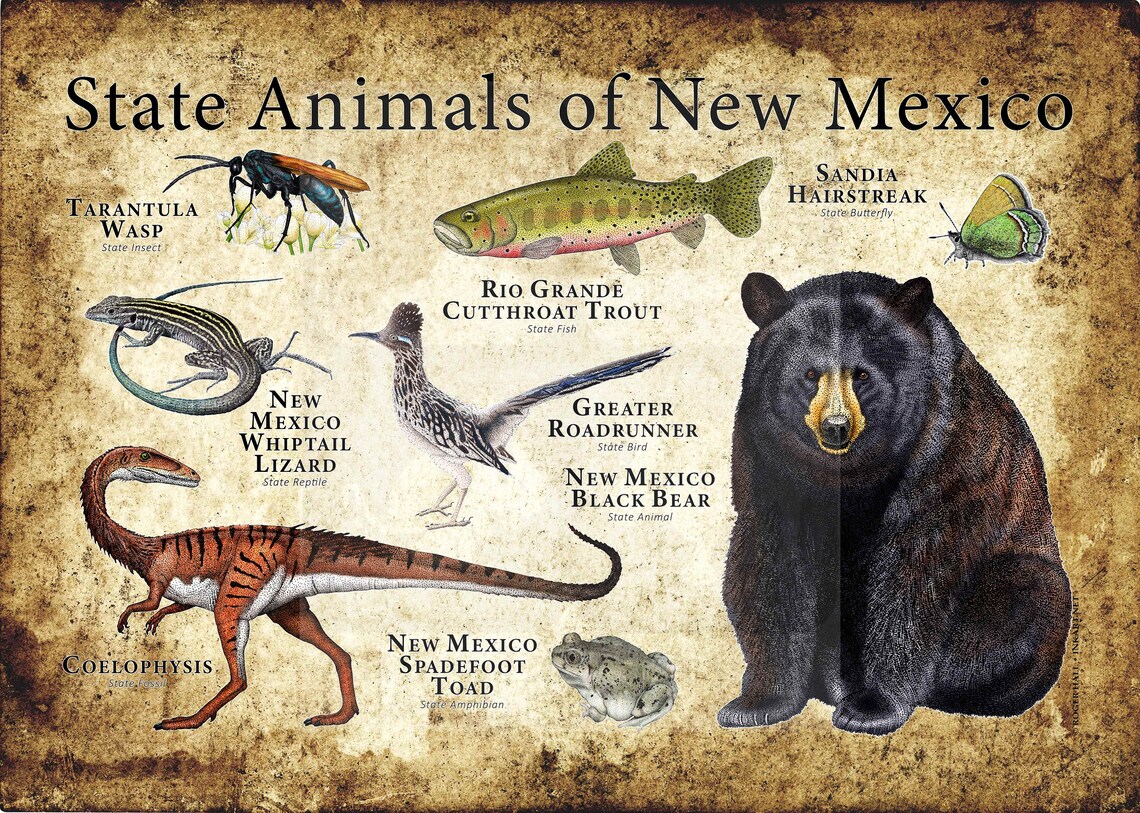 New Mexico State Animals Poster Print Etsy