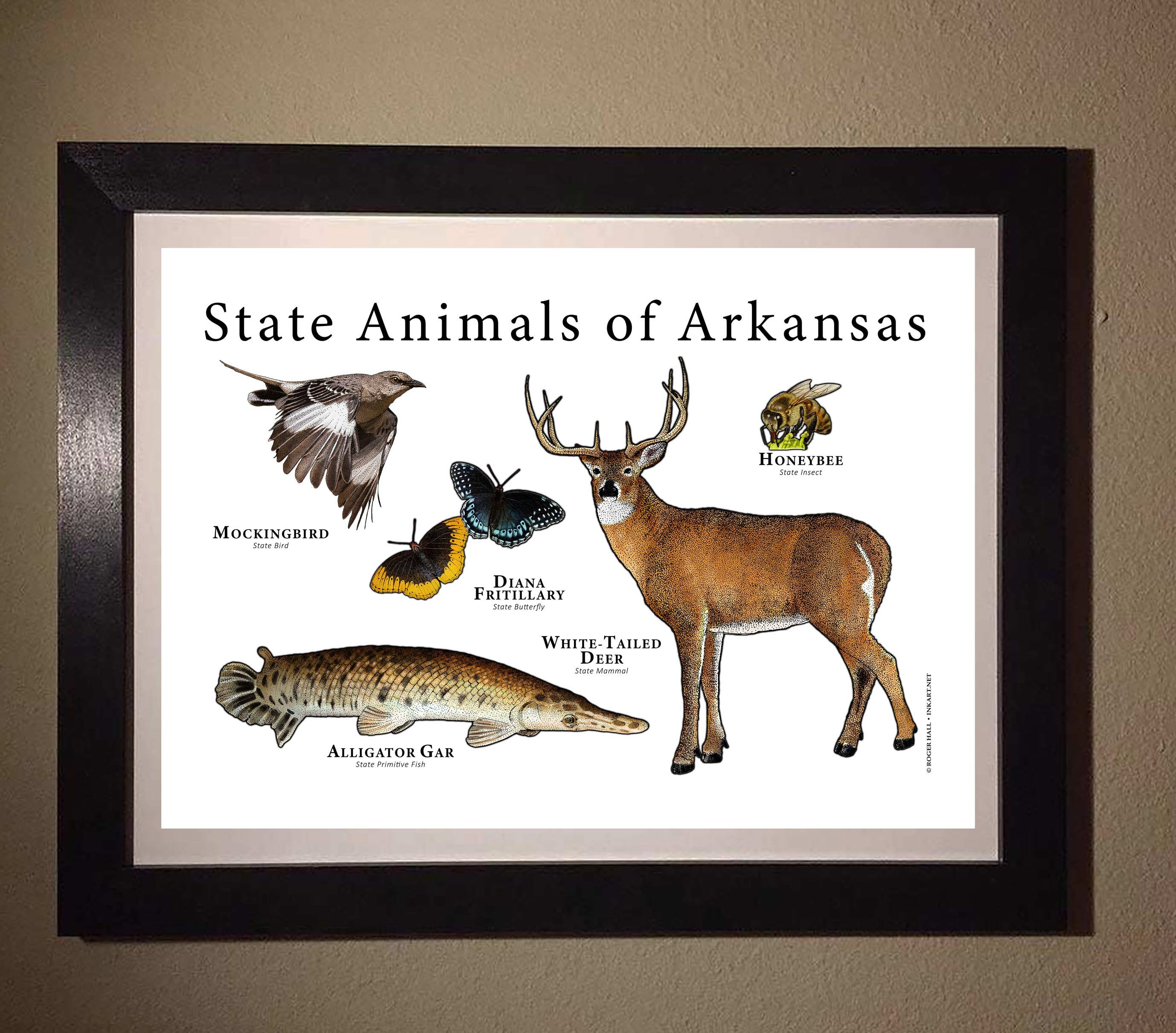 Arkansas State Animals Poster Print Etsy Canada