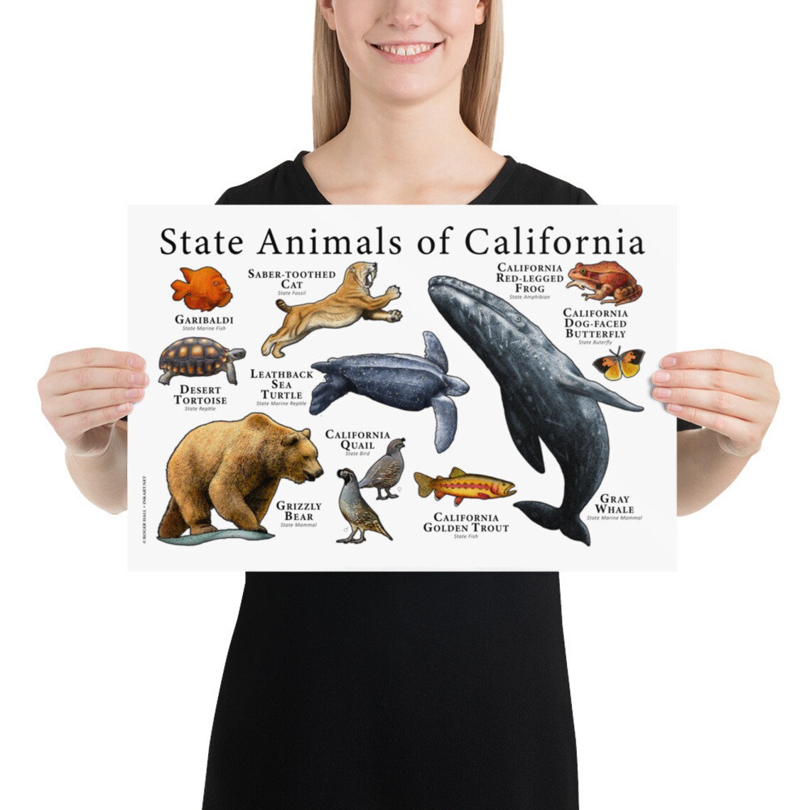 California State Animals Poster Print | Etsy