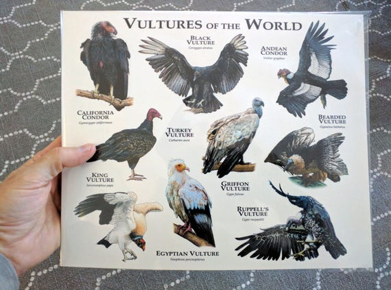 ワールドダイスター　サイン入りポスター WORLD WAR Z(ワールドウォーZ) 【4名直筆サイン入りミニポスター