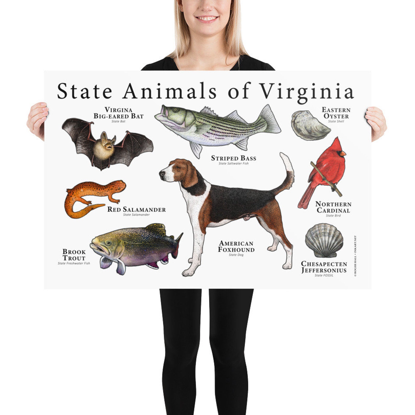 Virginia State Animals Poster Print Etsy