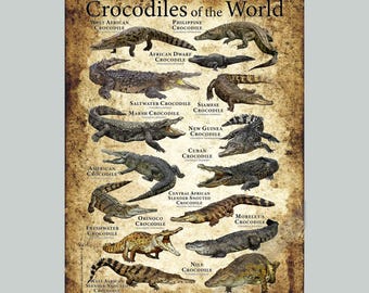 Impresión de póster de Cocodrilos del mundo: ¡FIRMADO POR EL ARTISTA!