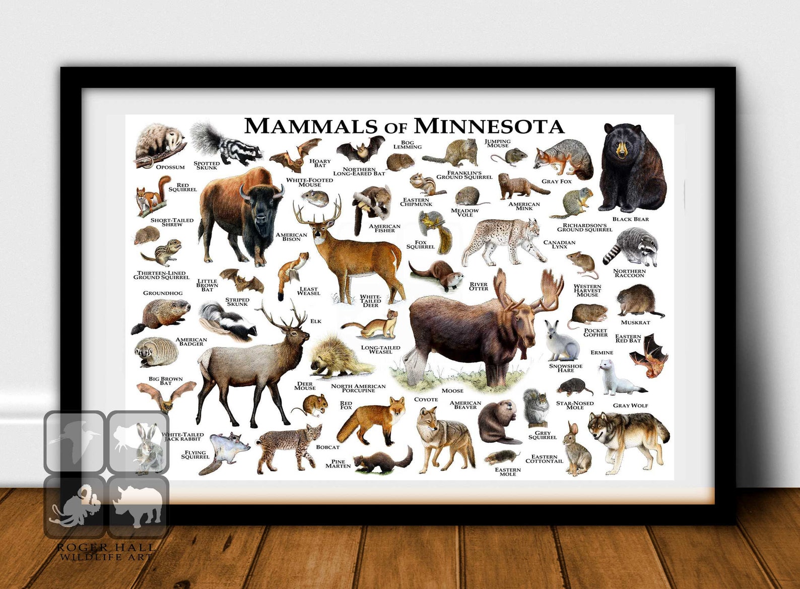 Mammals of Minnesota Poster Print / Minnesota Mammals Field Etsy