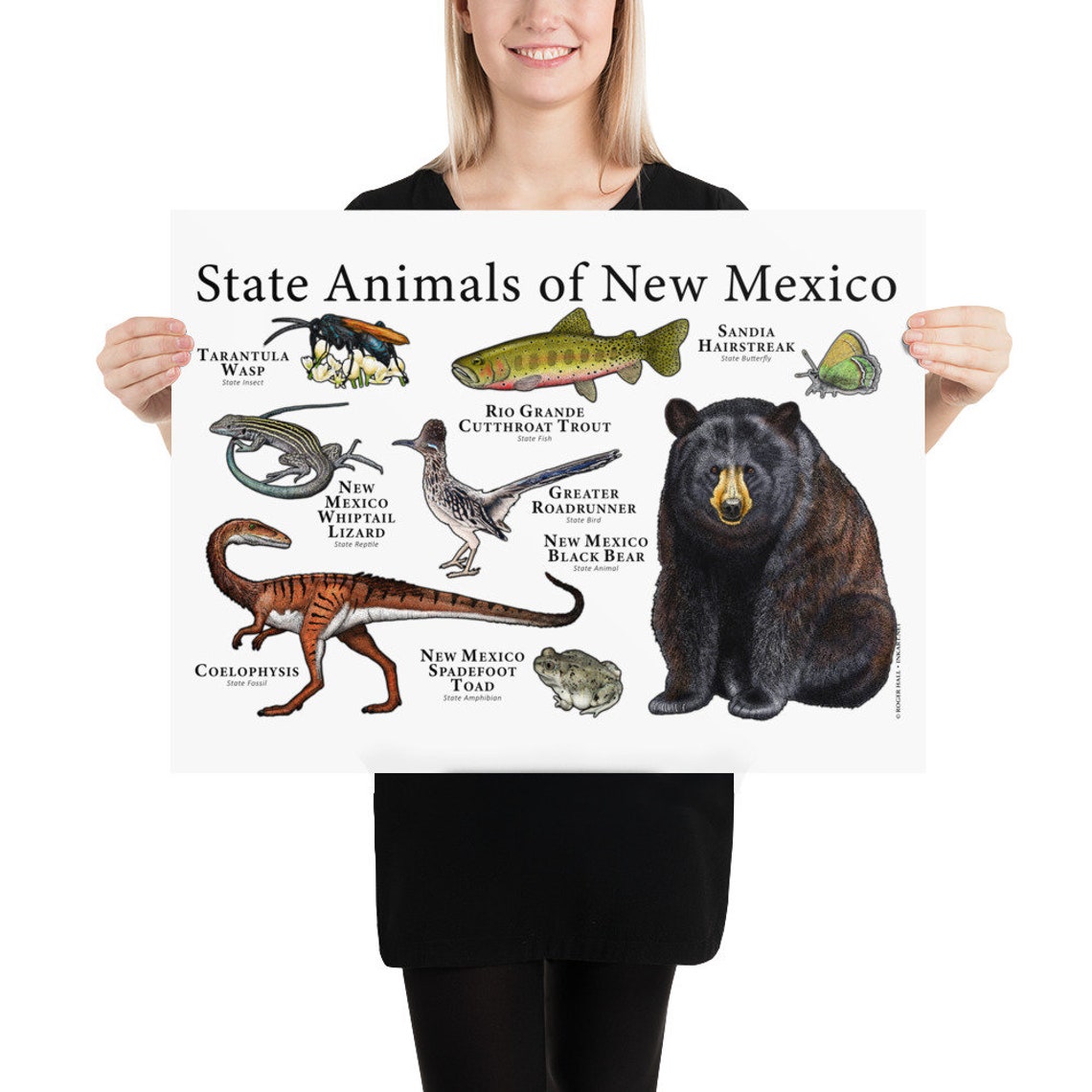 New Mexico State Animals Poster Print Etsy