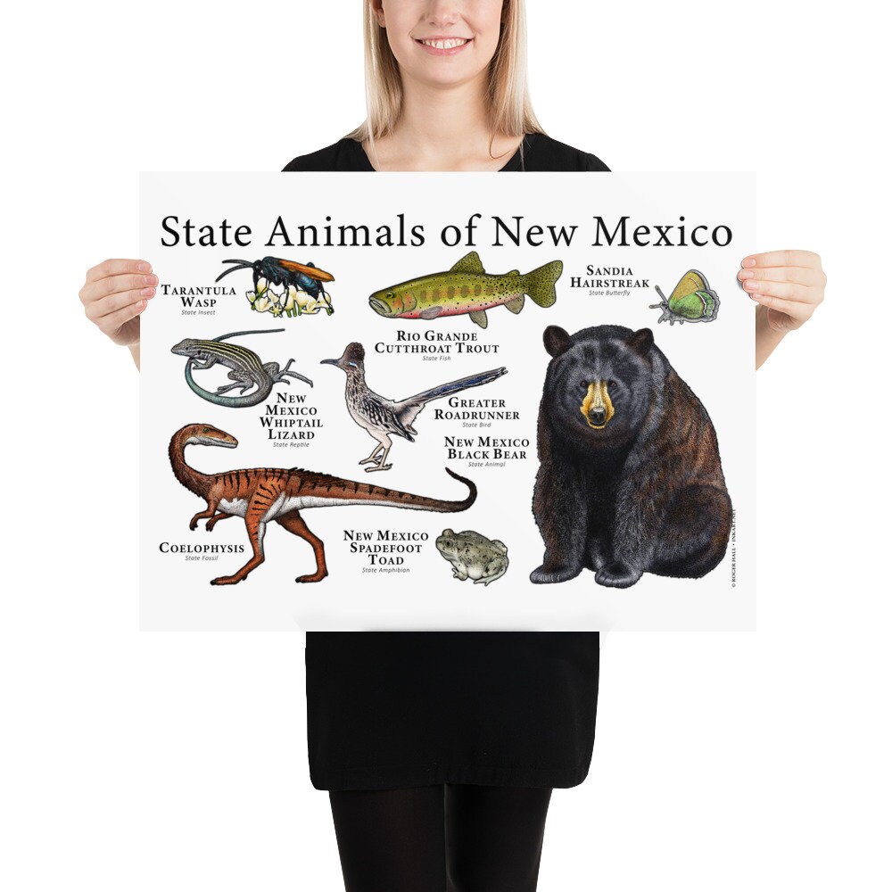 New Mexico State Animals Poster Print Etsy