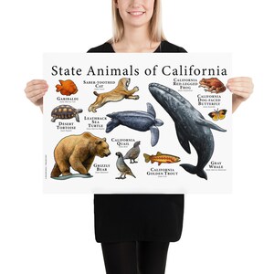 California State Animals Poster Print | Etsy