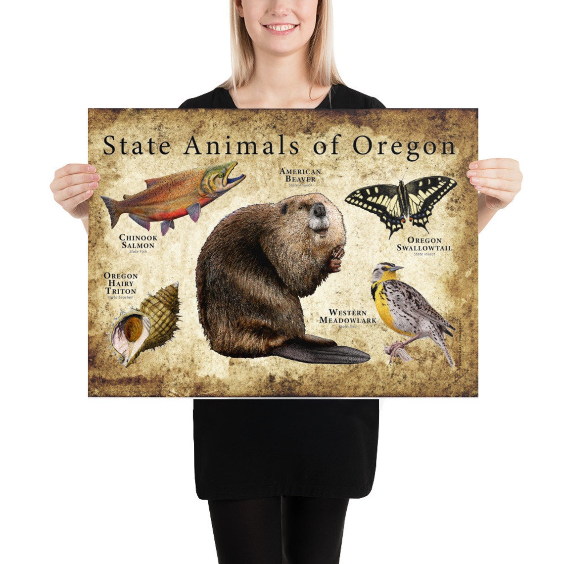 Oregon State Animals Poster Print Etsy