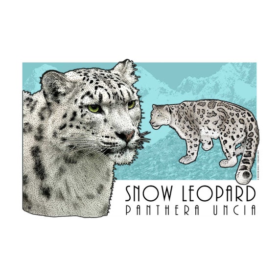 Snow Leopard Poster Print | Etsy Snow Leopard Body Pillow | Etsy