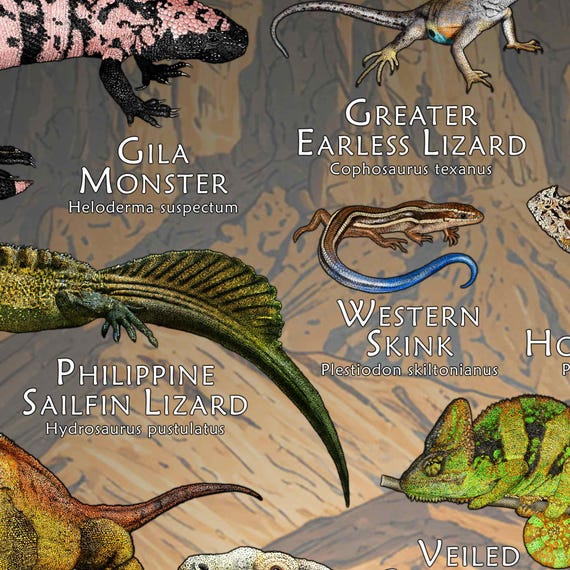 世界のトカゲのポスタープリント - アーティストのサイン入り! - Etsy 日本