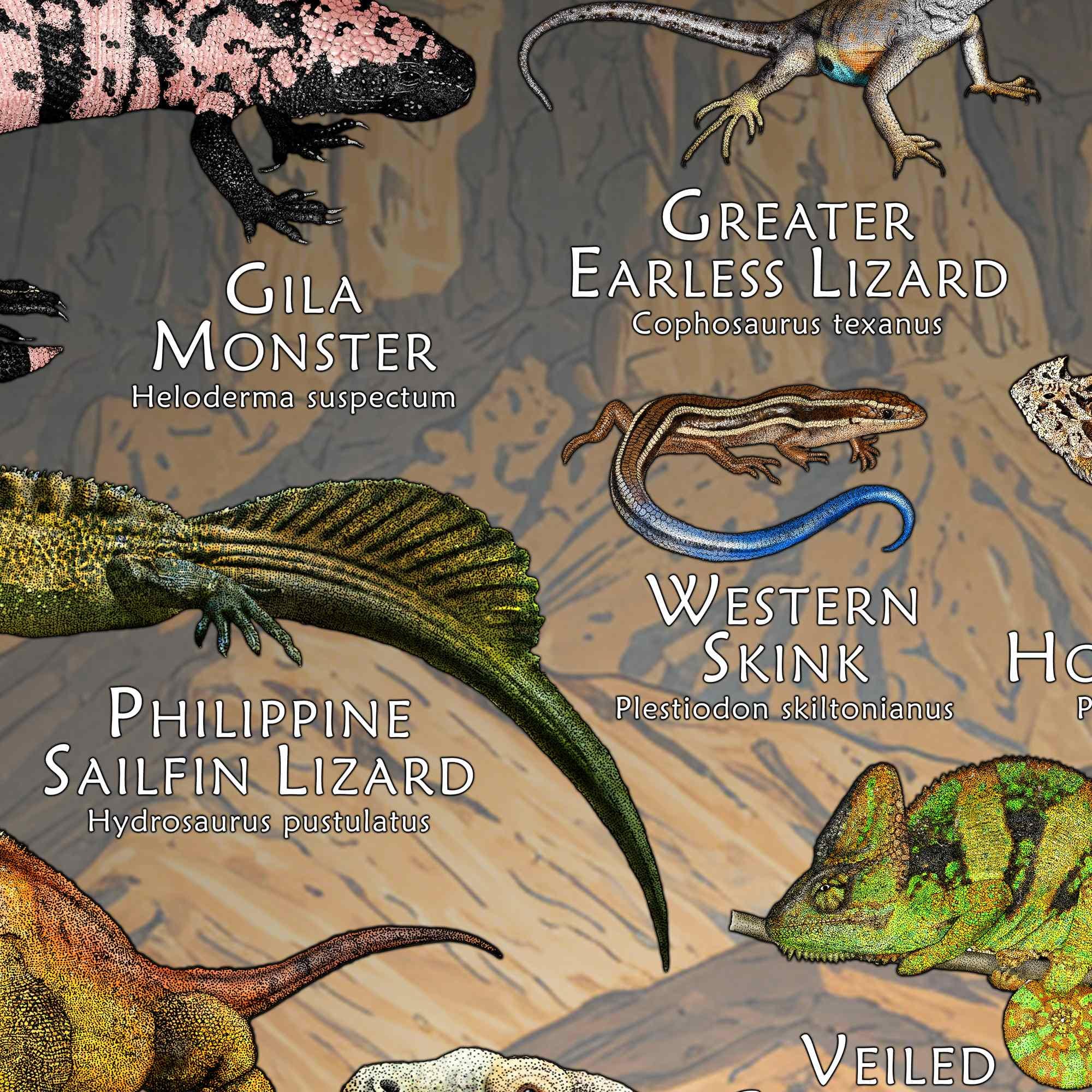 世界のトカゲのポスタープリント - アーティストのサイン入り! - Etsy 日本