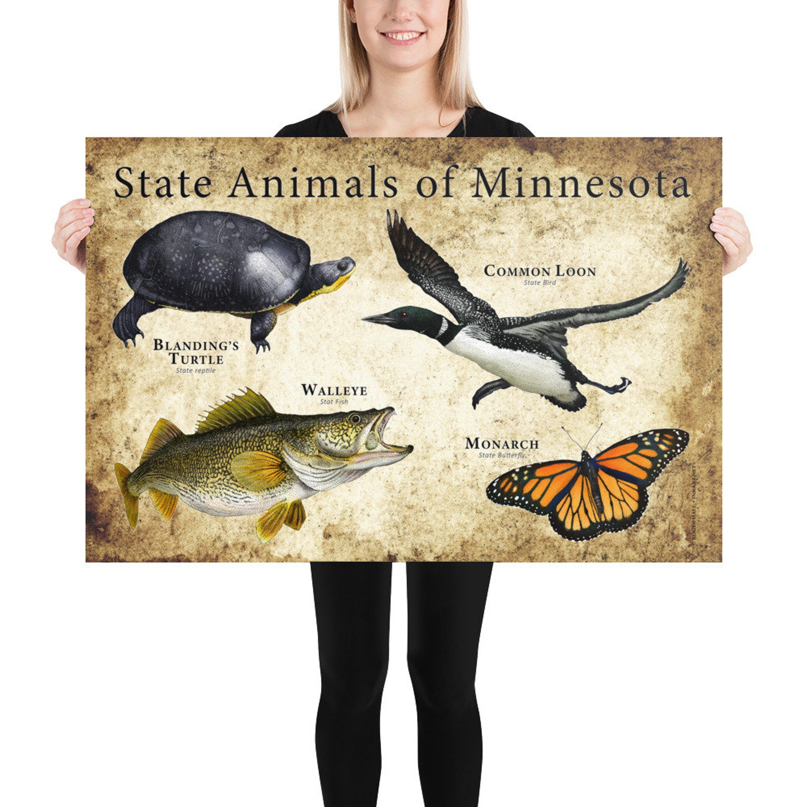Minnesota State Animals Poster Print Etsy