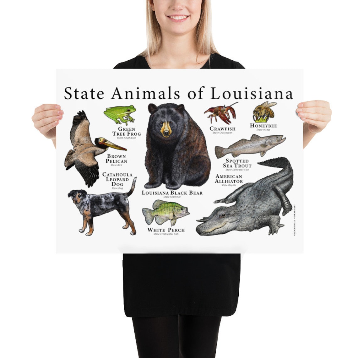 Louisiana State Animals Poster Print Etsy