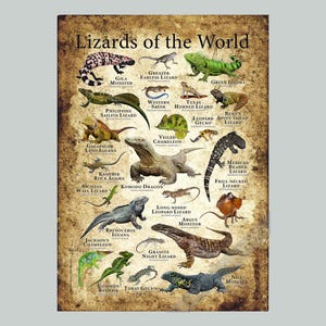 世界のトカゲのポスタープリント - アーティストのサイン入り!