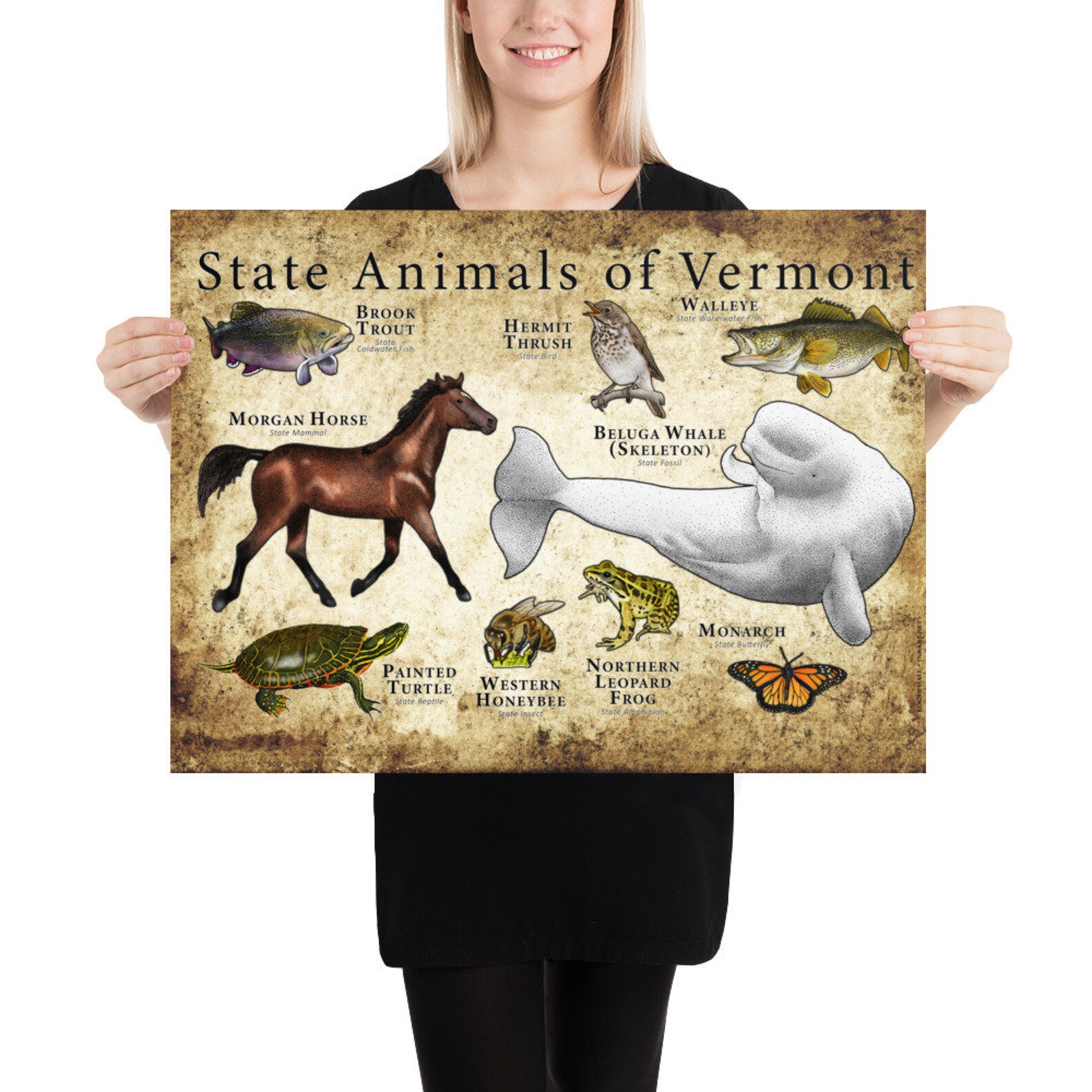 Vermont State Animals Poster Print Etsy