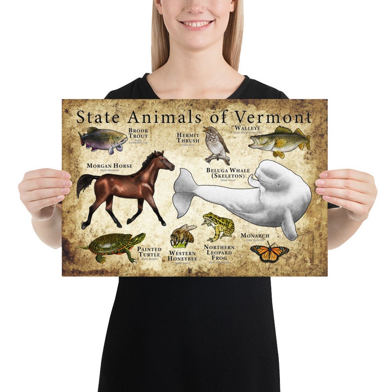 Vermont State Animals Poster Print - Etsy.de