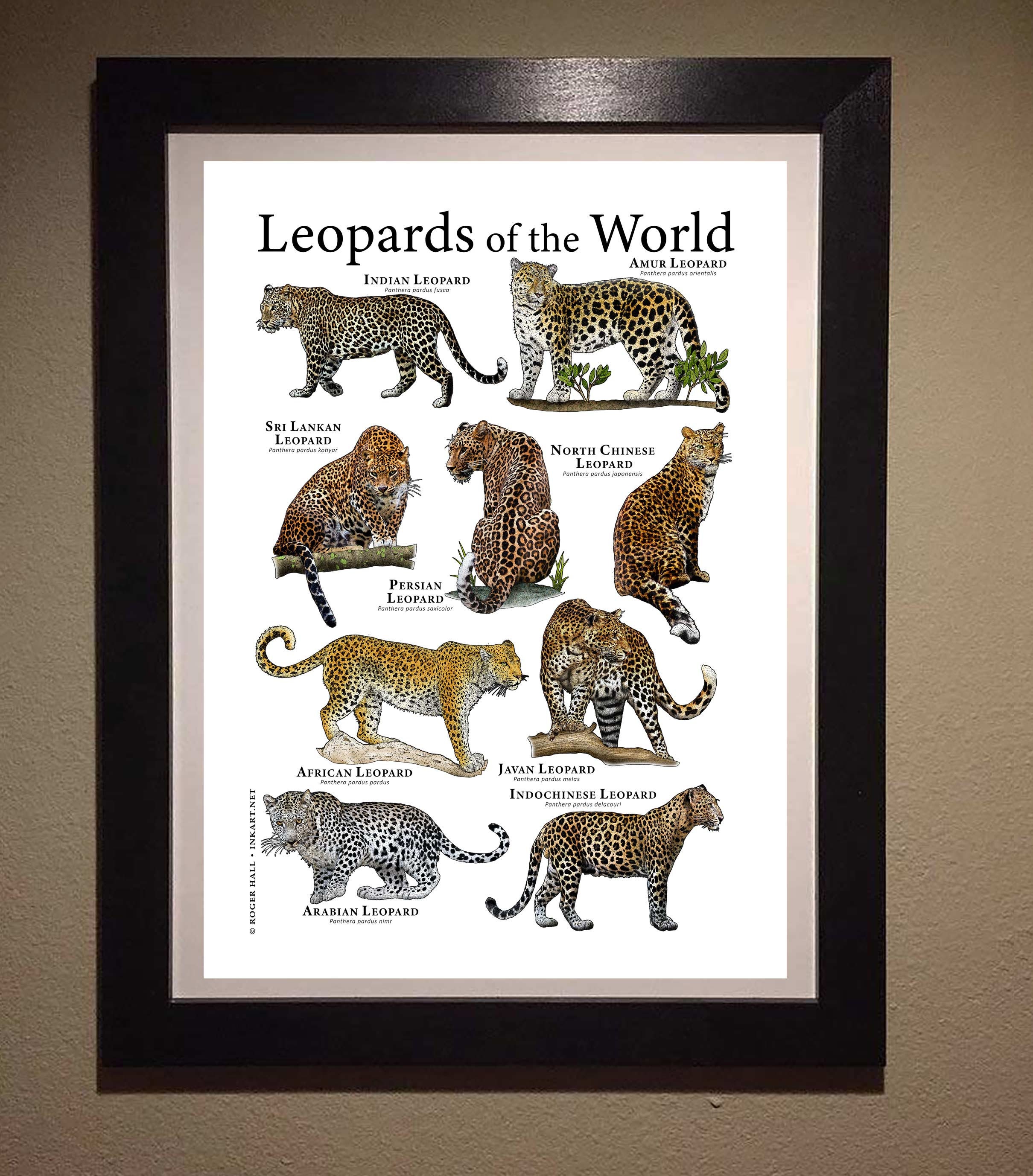 the World - Print Leopards Norway Etsy Poster of