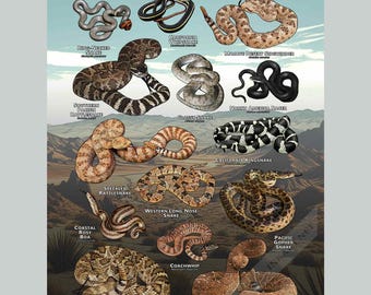 May include: A poster titled Snakes of Southern California featuring illustrations of various snake species including the Ring-Necked Snake, California Whipsnake, Mojave Desert Sidewinder, Southern Pacific Rattlesnake, Glossy Snake, and North America Racer.