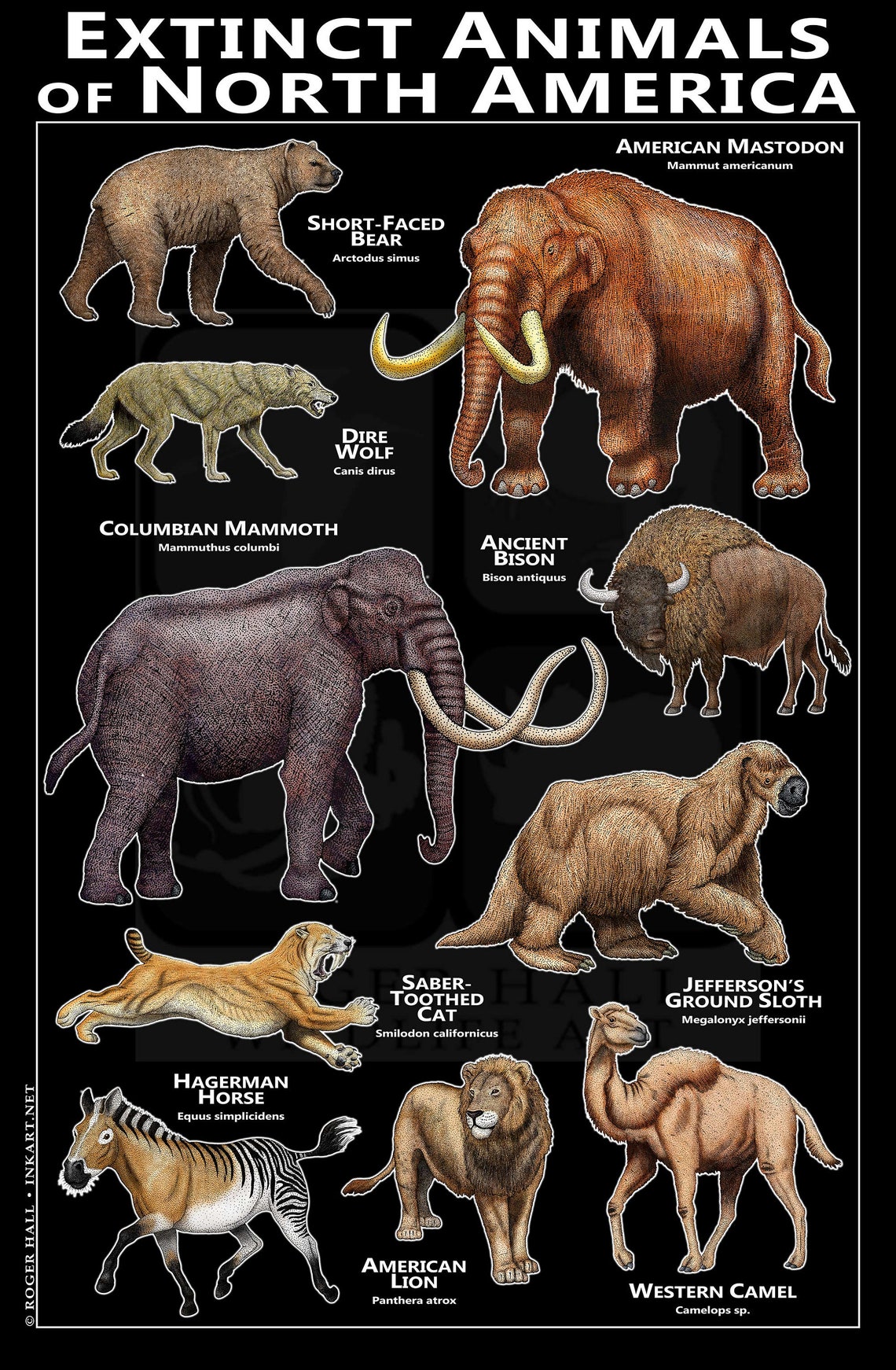 Extinct Animals of North America Poster - Etsy