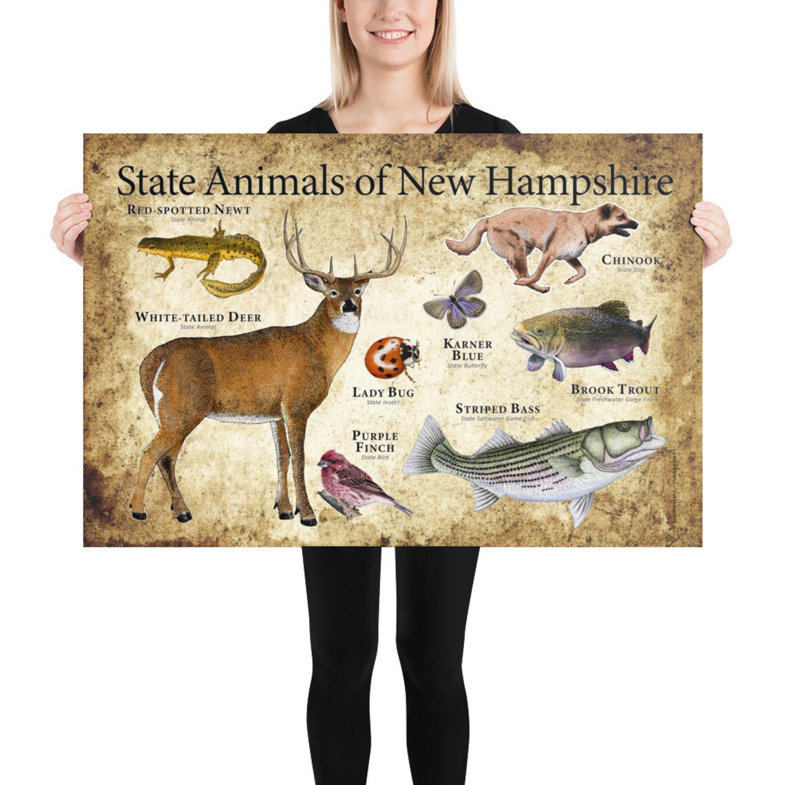 New Hampshire State Animals Poster Print Etsy