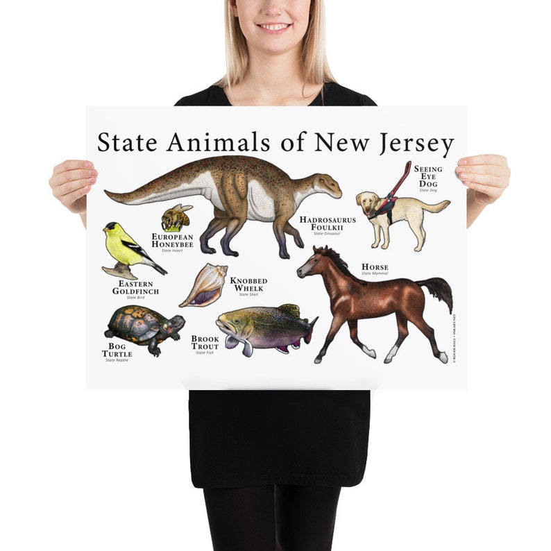 New Jersey State Animals Poster Print Etsy