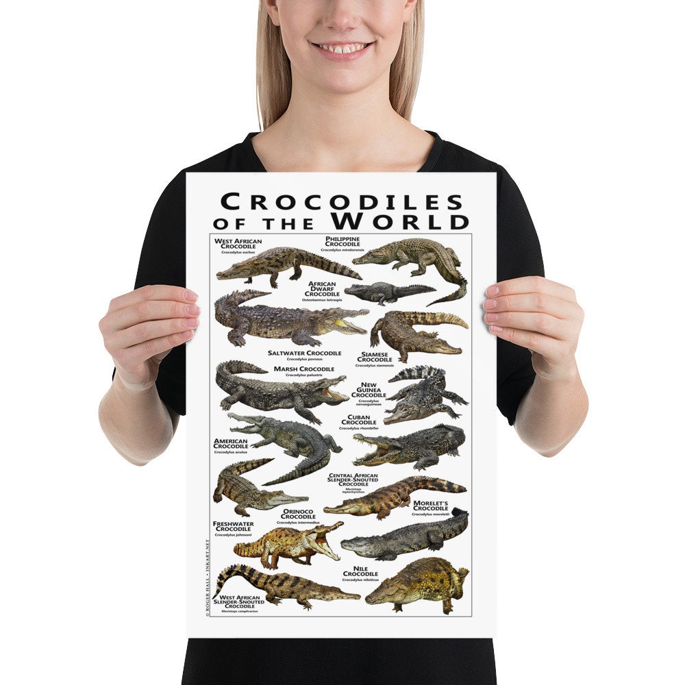 Crocodiles of the World Poster / Field Guide | Etsy Australia