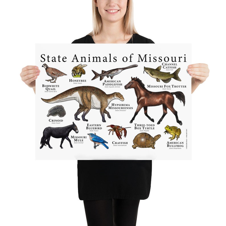Missouri State Animals Poster Print Etsy