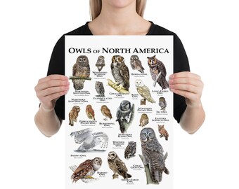 北米のフクロウ 絵画と彫刻 作品集「Owls of North America」 Owls of North America Puzzle | Bird Collective