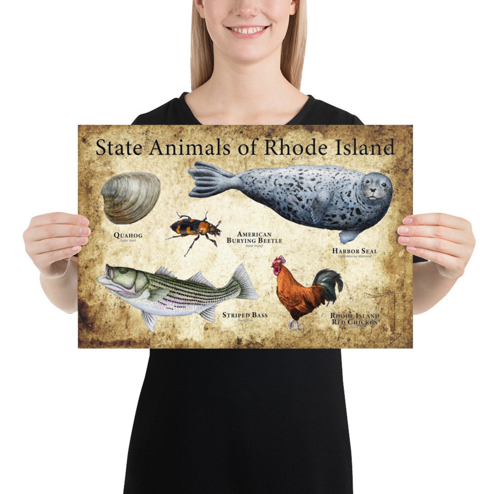 Rhode Island State Animals Poster Print Etsy