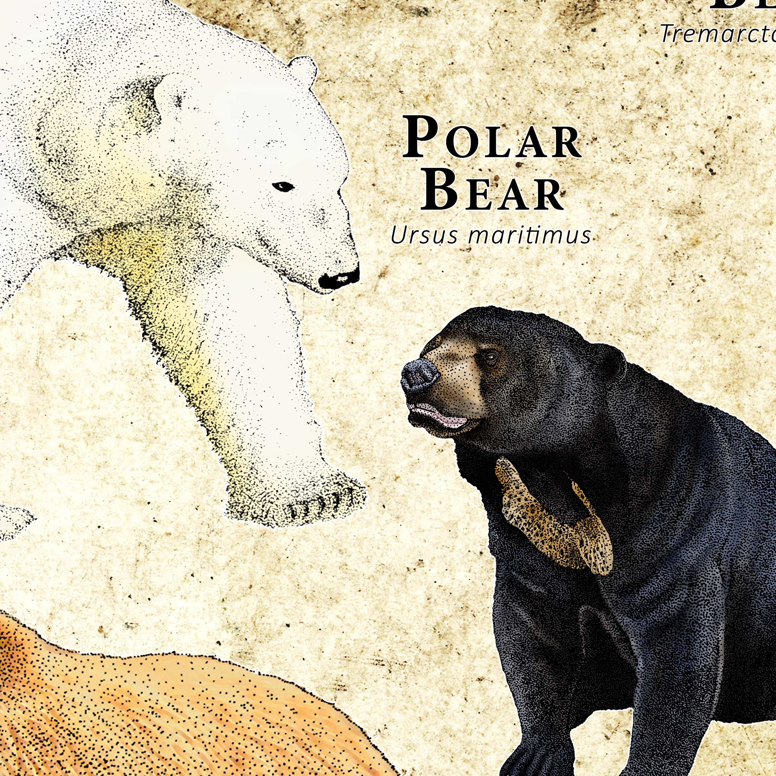 ナショナルジオグラフィック キッズペーパーメイキングキット NATIONAL GEOGRAPHIC Kids Paper Making Kit