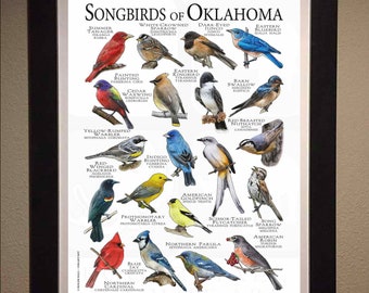 comings SONGBIRDS 7inch 歌詞カード付き Songbirds of Kansas Poster Print/field Guide - SIGNED BY ARTIST