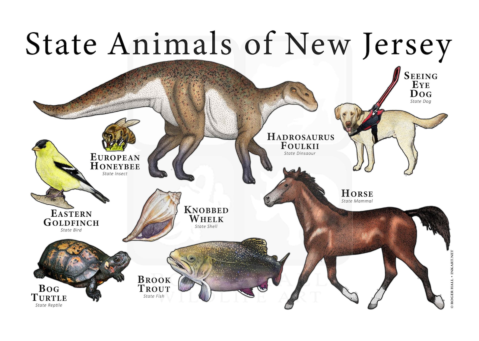 New Jersey State Animals Poster Print Etsy