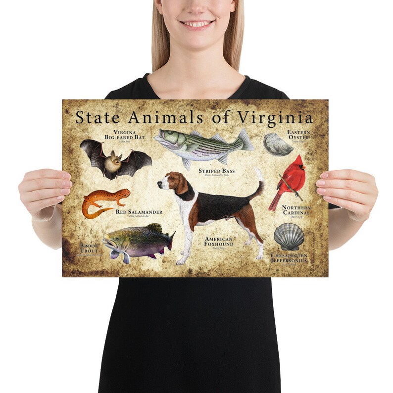 Virginia State Animals Poster Print Etsy