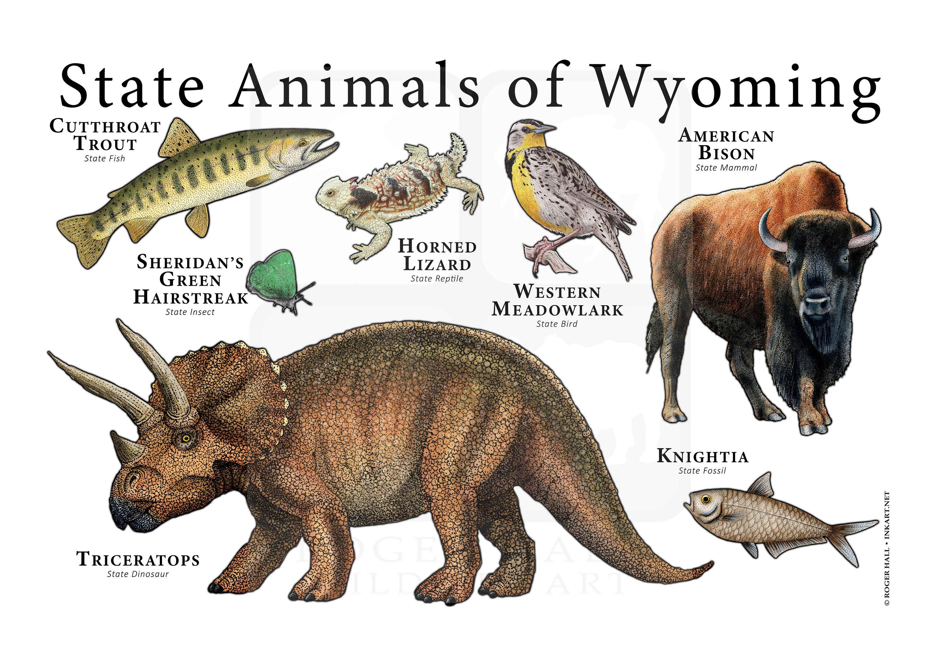 Wyoming State Animals Poster Print Etsy