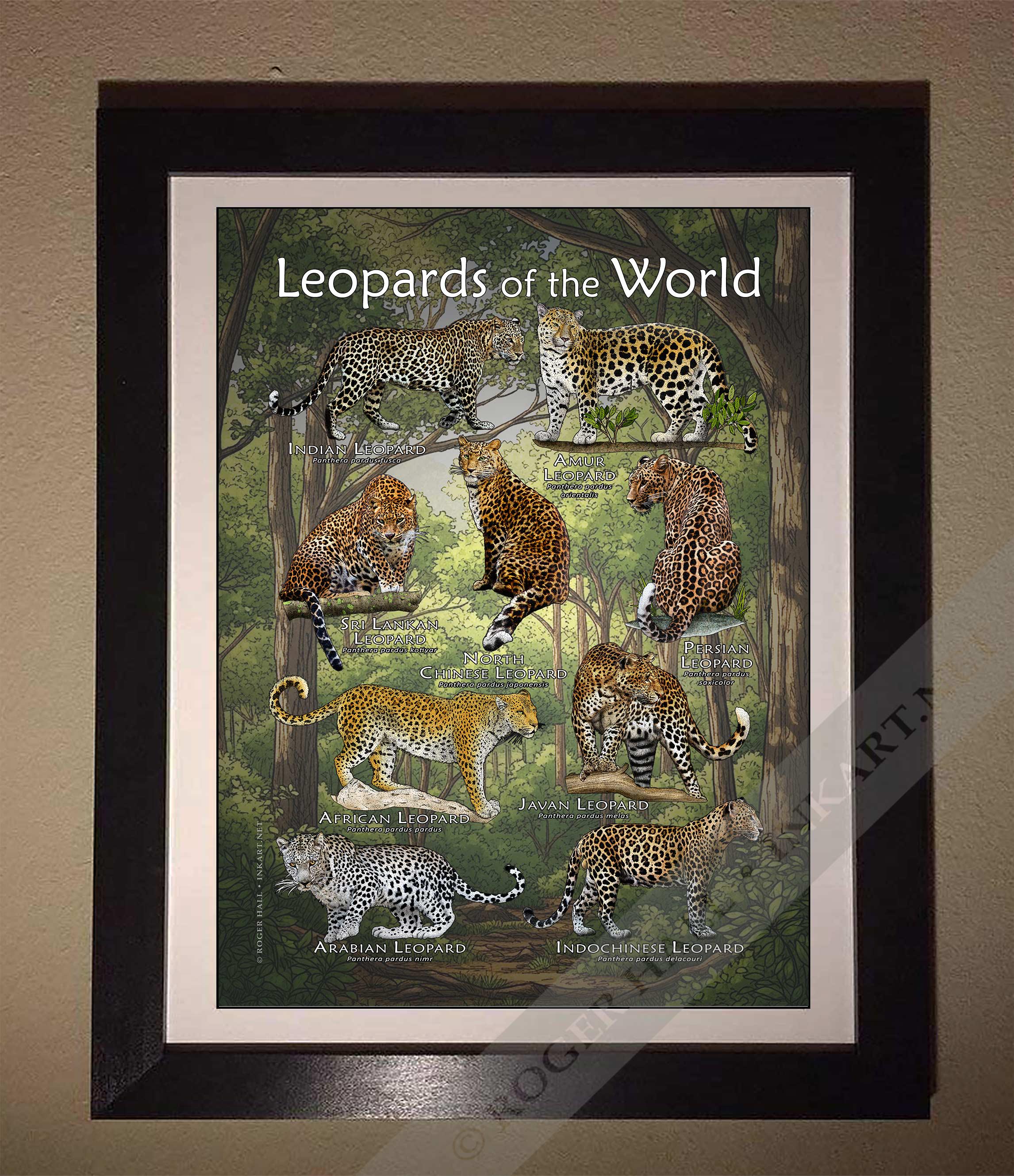 世界のヒョウのポスタープリント - Etsy 日本