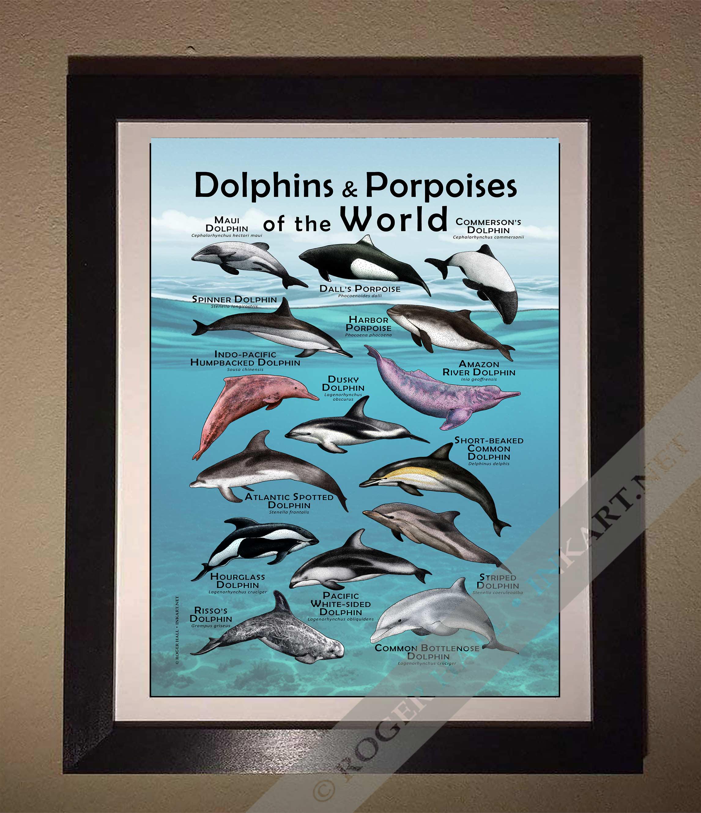 なつめしおり　❀イルカのリミテッド❀ダブル八角フトマニ図❀ 世界のイルカとネズミイルカのポスター - アーティストのサイン入り