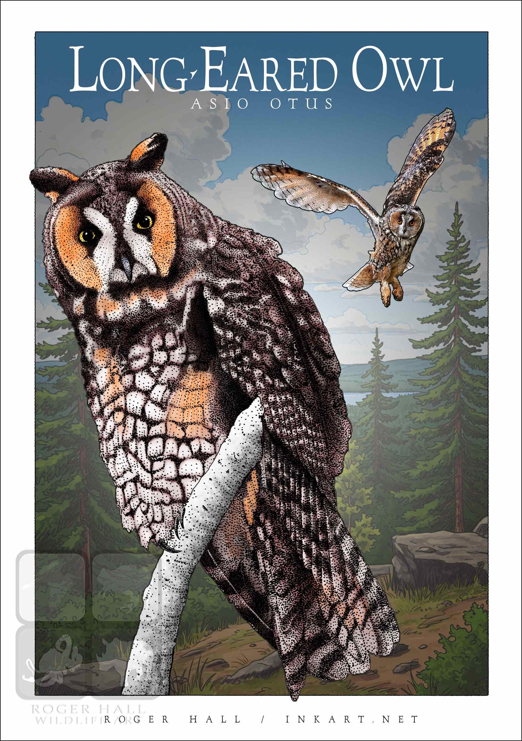 ビンテージ ウエストモアランド フクロウ② Westmoreland Owl ビンテージ ウエストモアランド フクロウ② Westmoreland Owl Vintage