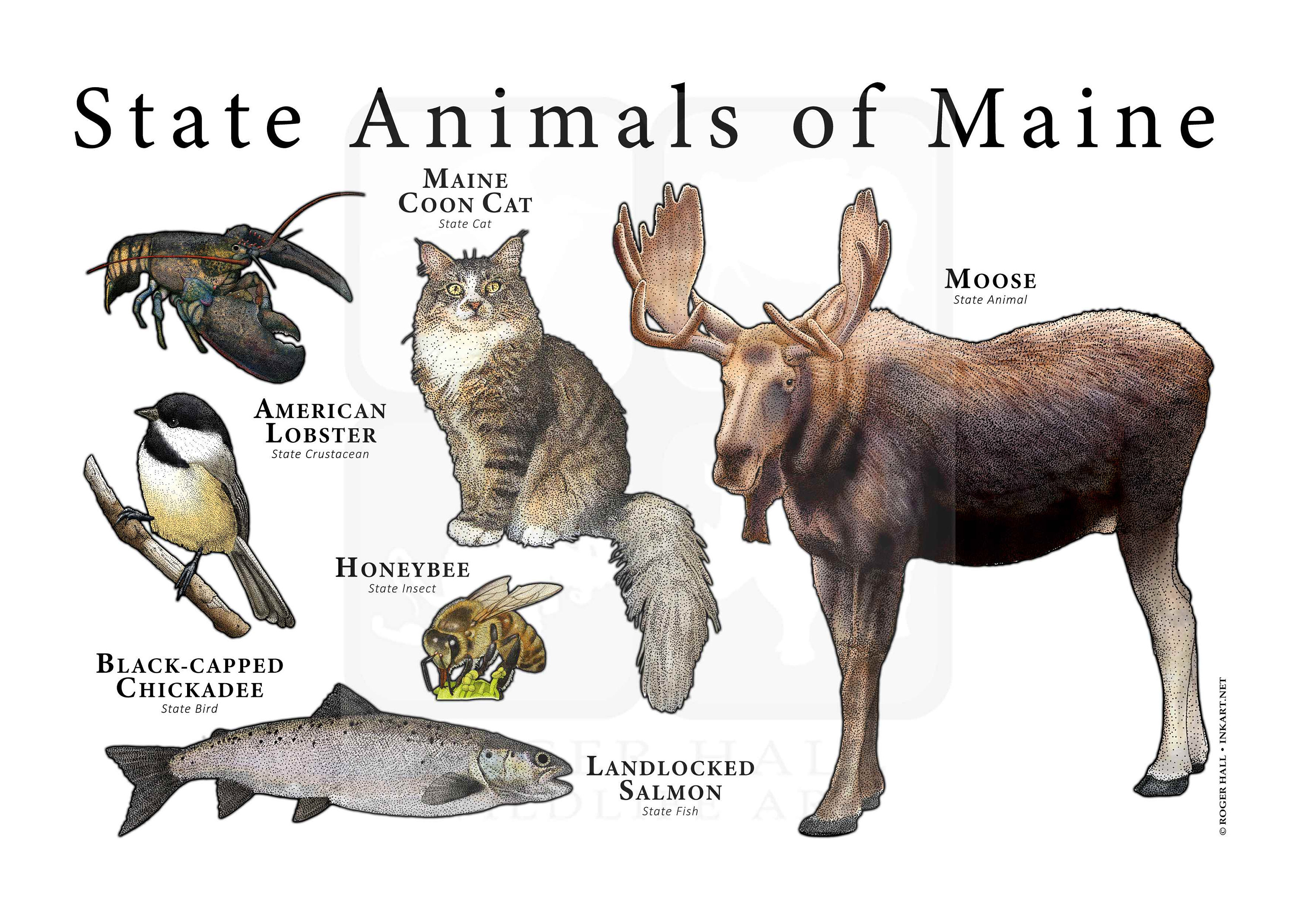 Maine State Animals Poster Print Etsy