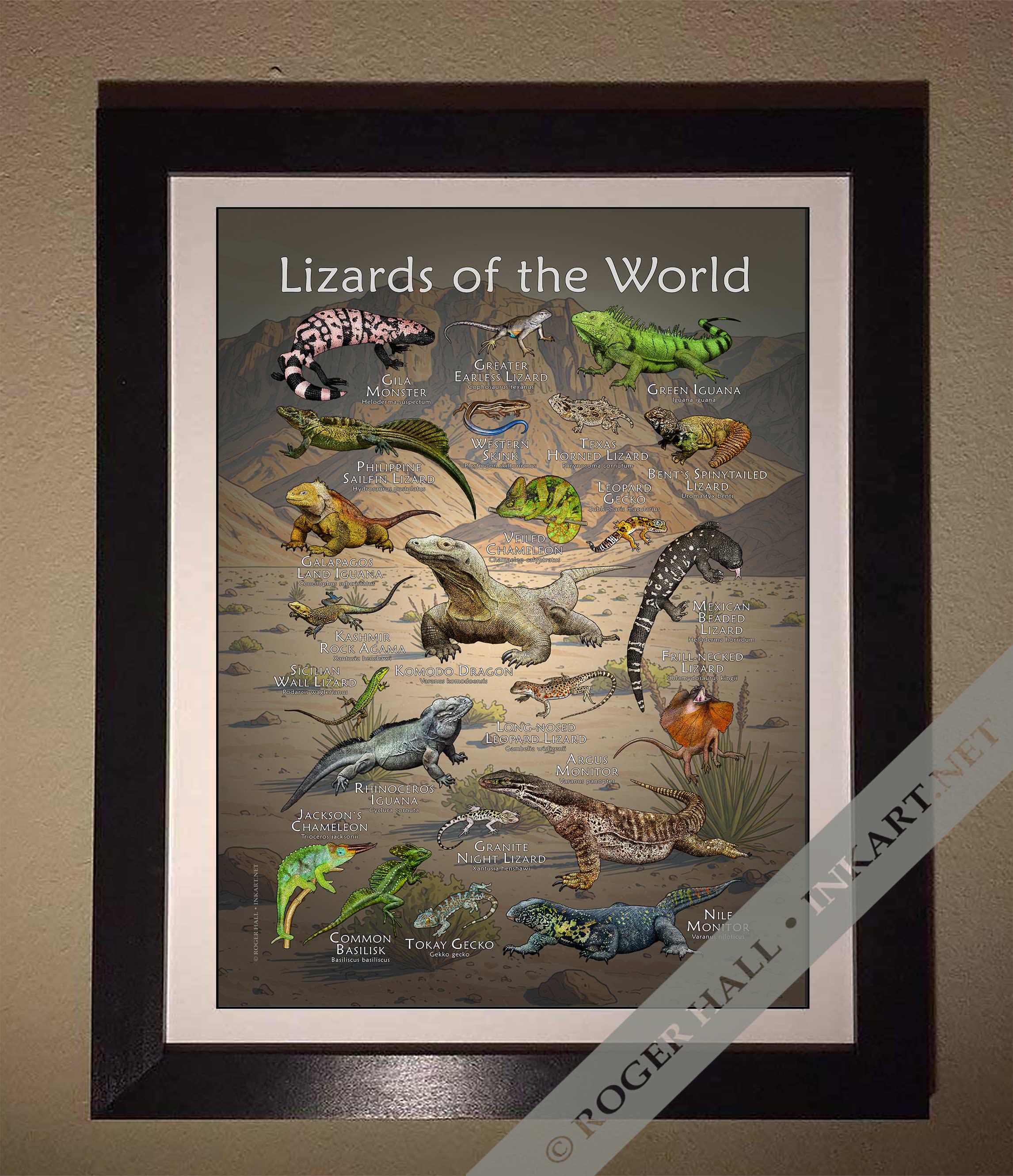 世界のトカゲのポスタープリント - アーティストのサイン入り! - Etsy 日本