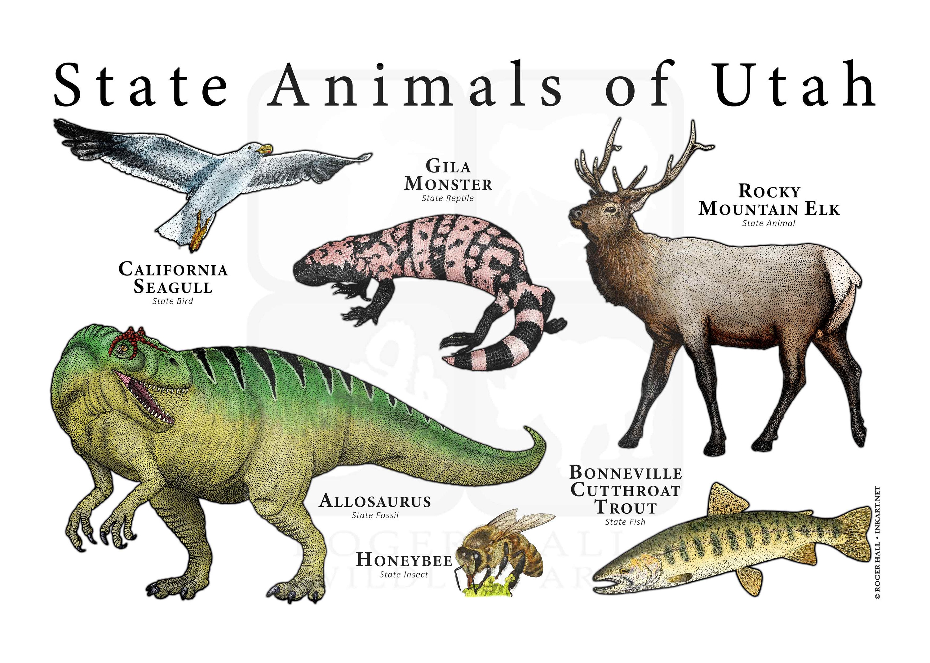 Utah State Animals Poster Print Etsy