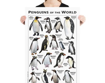 世界のペンギンプリント - アーティストのサイン入り! - Etsy 日本