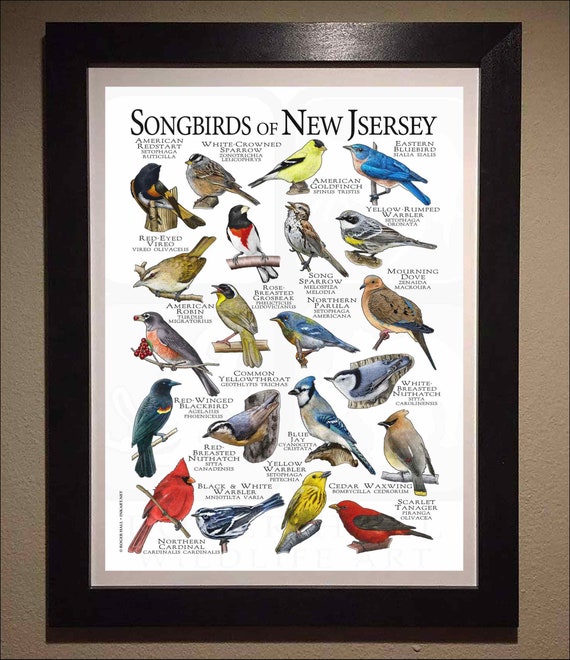 値段交渉あり【PSA10】 ニュージャージー サイン入り 2025年最新】ニュージャージー psa10の人気アイテム - メルカリ