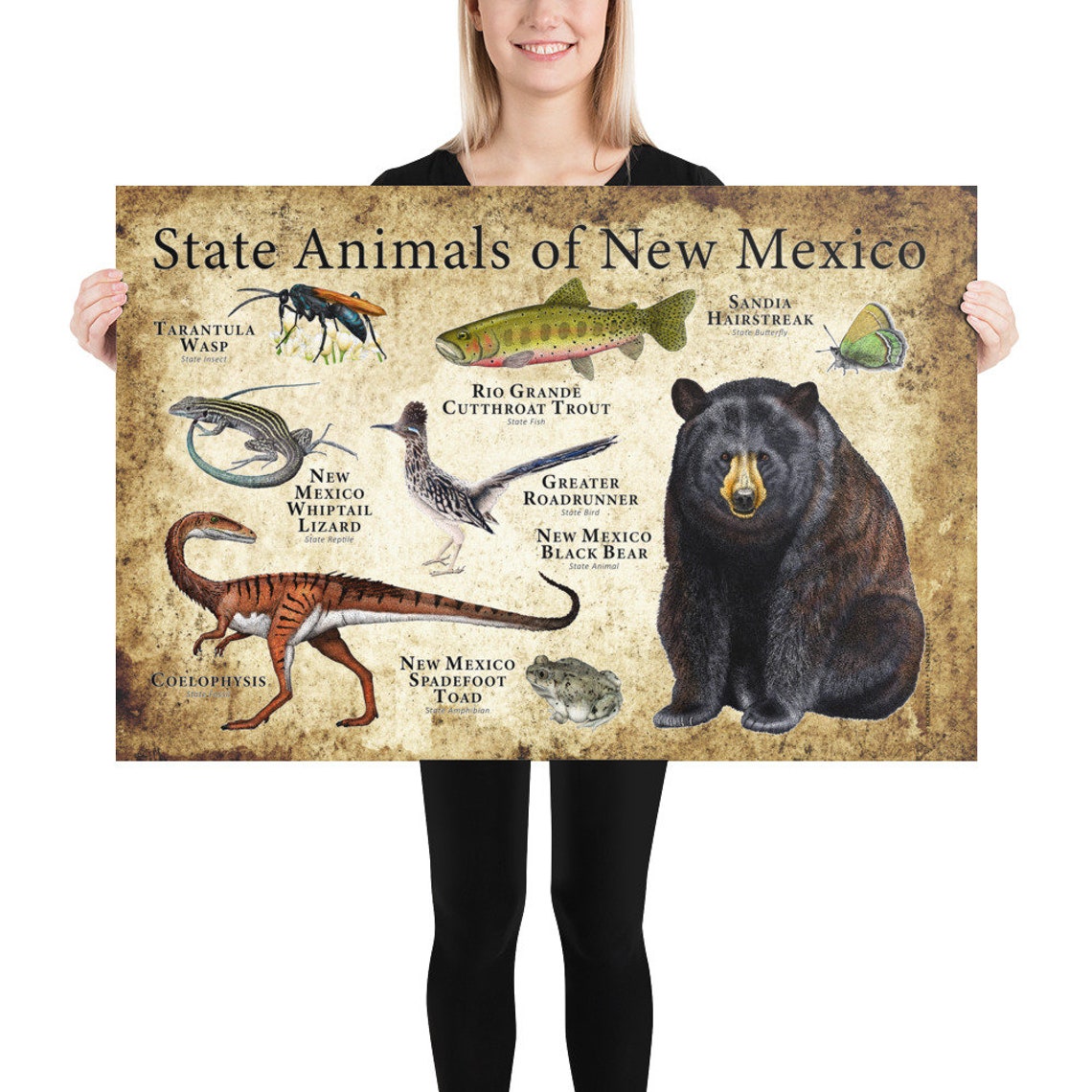 New Mexico State Animals Poster Print Etsy