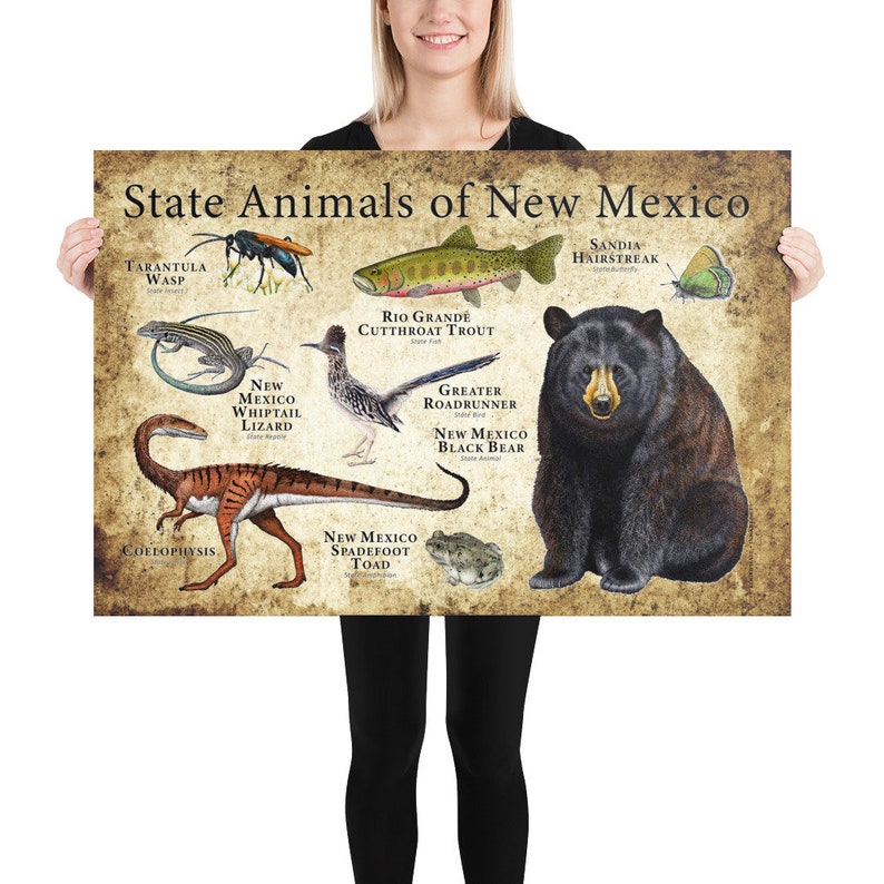 New Mexico State Animals Poster Print Etsy