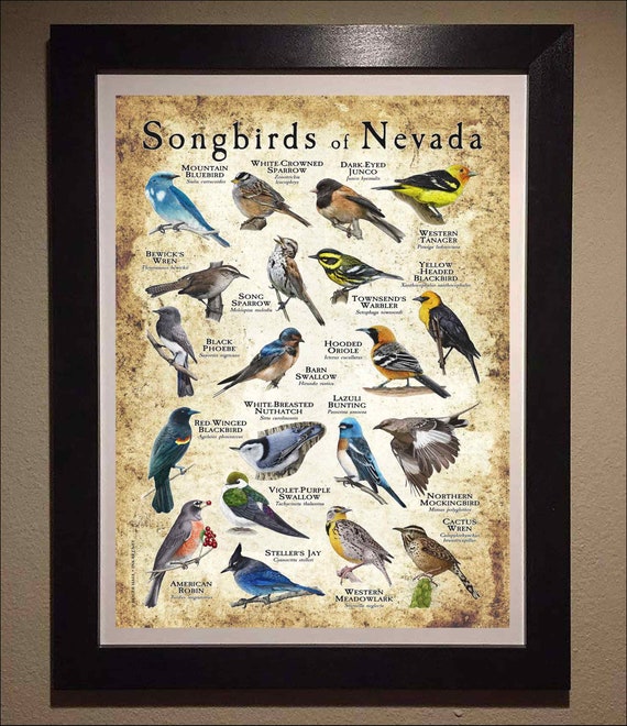 ミントン逸品 ！１９世紀中葉 プレート ターコイズ 金盛蝶鳥図文レイズドゴールド サルグミンヌ 鳥と小花の長方形プレート（繊細な鳥の絵付け／Digoin