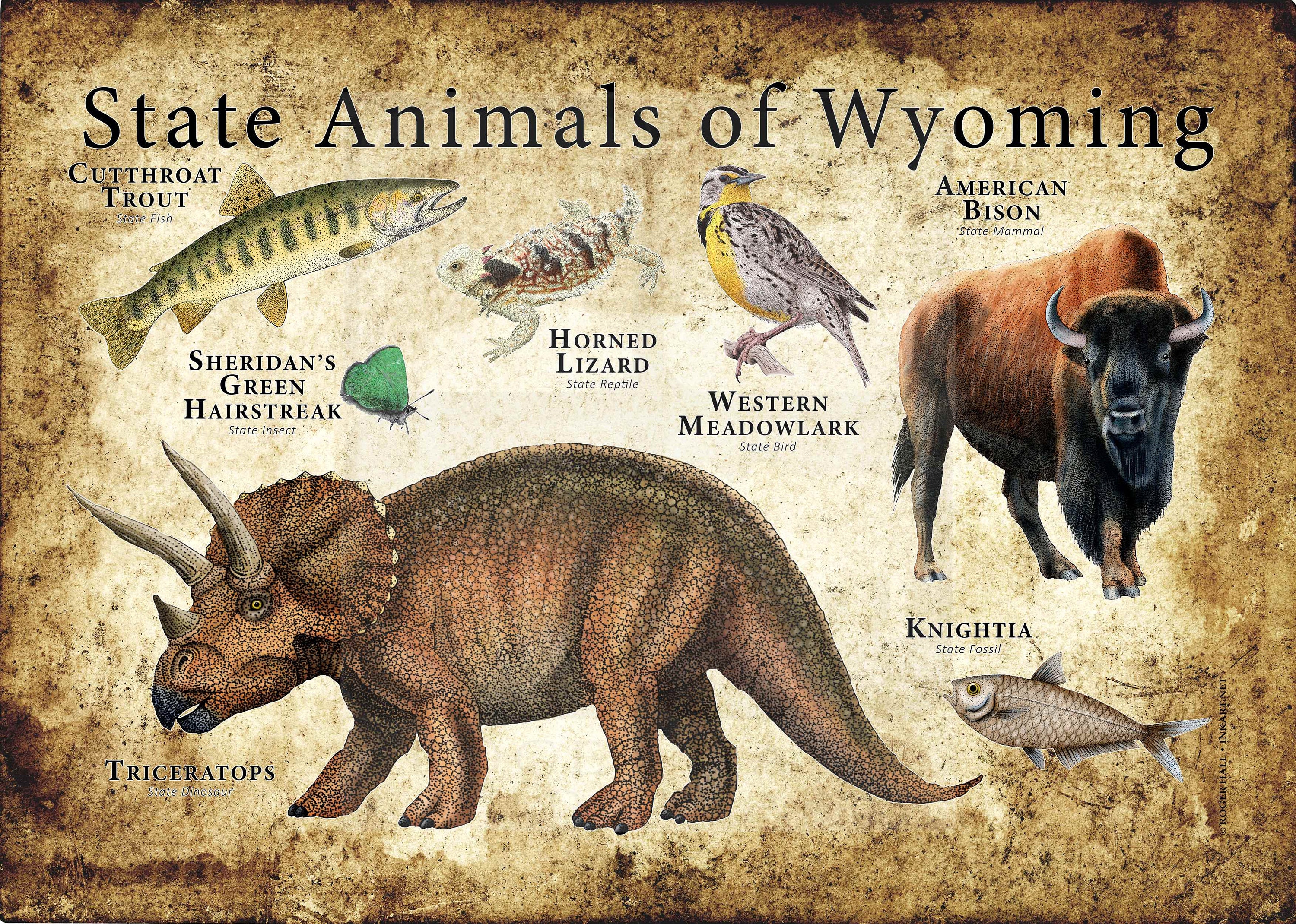 Wyoming State Animals Poster Print Etsy