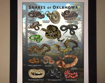 アボリジナルアート ブーメラン Stephen Mclean 蛇 ヘビ アボリジナルアート ブーメラン Stephen Mclean 蛇 ヘビ