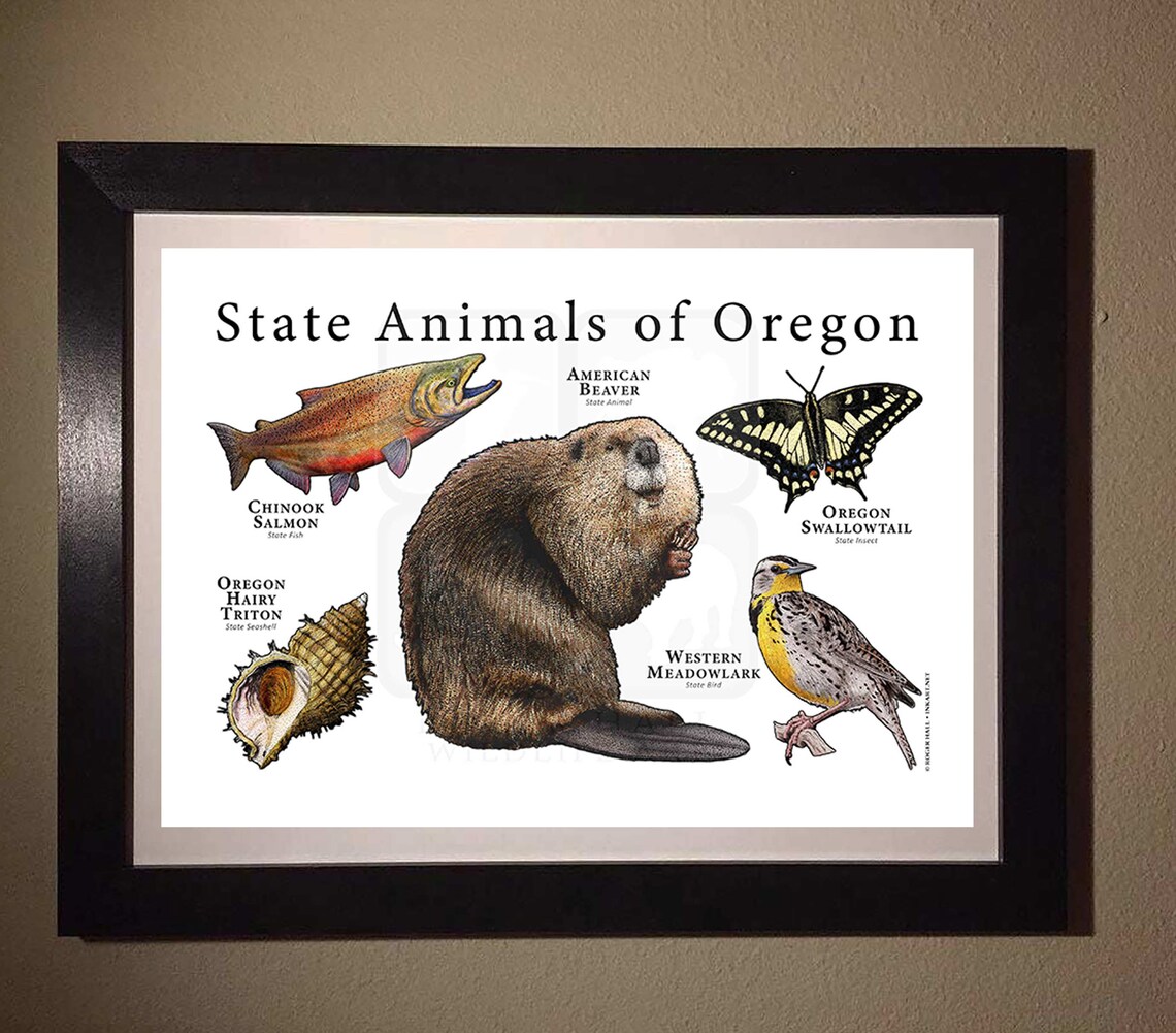 Oregon State Animals Poster Print Etsy