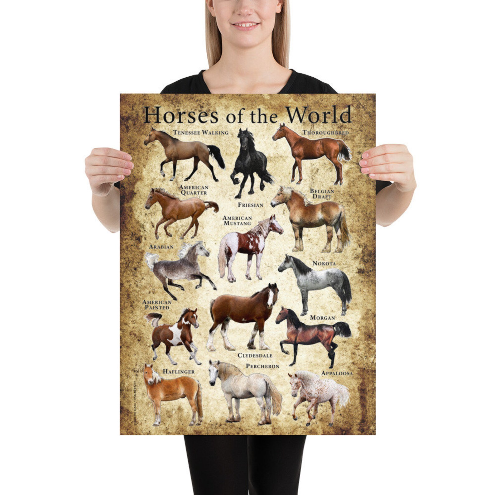 Horses of the World Poster | Etsy