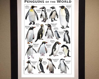 世界のペンギンプリント - アーティストのサイン入り! - Etsy 日本