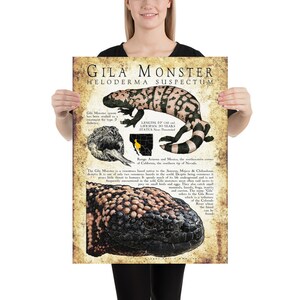 K&ouml;nnte beinhalten: Ein Vintage-Poster mit einem Gila-Monster, einer giftigen Eidechse, die im S&uuml;dwesten der Vereinigten Staaten und in Mexiko beheimatet ist. Das Poster enth&auml;lt eine detaillierte Illustration des Gila-Monsters, seinen wissenschaftlichen Namen "Heloderma suspectum" und Informationen &uuml;ber seine L&auml;nge, Lebensdauer und seinen Status. Das Poster enth&auml;lt auch eine Karte, die das Verbreitungsgebiet des Gila-Monsters zeigt.